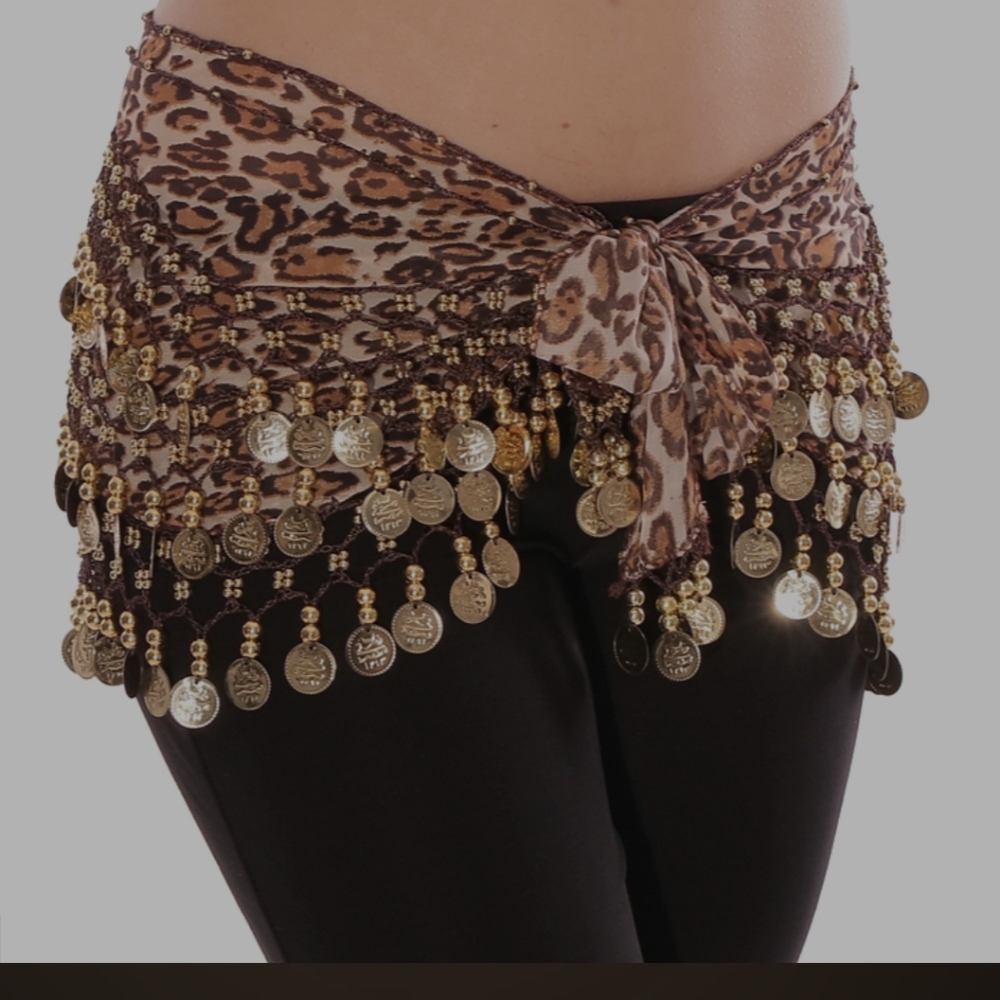 Chiffon Coin Belt - Leopard/Silver Coin
